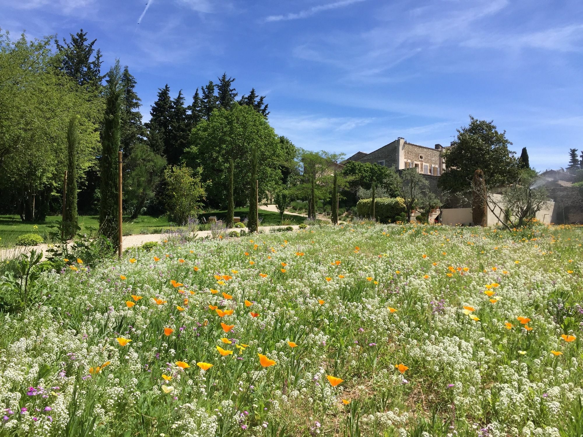 Domaine Les Martins - Gordes Hotel Bagian luar foto
